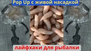 Хочешь больше уловов? Попробуй эту новую насадку для рыбалки! 
