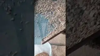 щепа.                                                          Продаётся щепа пишите в кометы
