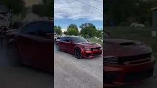 “Redneck Wins Lottery”