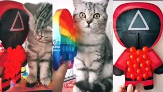 Pop it 