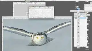 Photoshop Instruction for Photographers: adding your signature to an image in photoshop