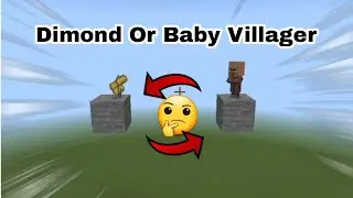 Dimond Or Baby Villager?? Minecraft memes