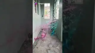 Bottle Collision Of Tails The Fox Movie