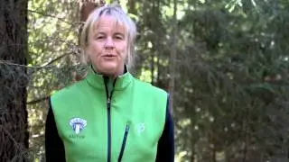 Karin Elfving - IK Jarl i Rättviks kommun