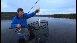 Fishing during forest fires. Super bite at sunset.