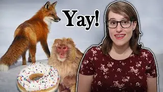 The Best Vegan News of 2020! (aka my favorite news)