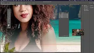 Week 4  Live session