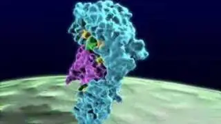 Molecular Structure Animation