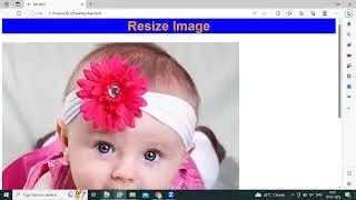 How to resize image in HTML & CSS