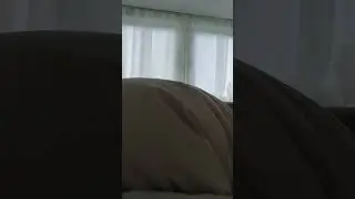 В понедельник утро как вам?