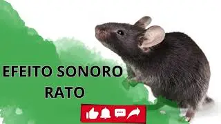 EFEITO SONORO RATO-RAT SOUND EFFECTS