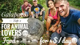 🦭Galapagos 🏝️🇪🇨| Top animal watching for 4$/day