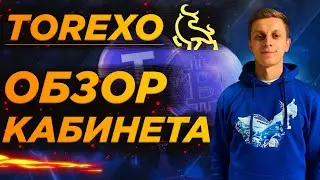 TOREXO FINANCE: ОБЗОР И ПОЛЬЗОВАНИЕ КАБИНЕТОМ☝️🔥