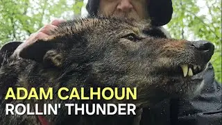 Adam Calhoun - Rollin' Thunder