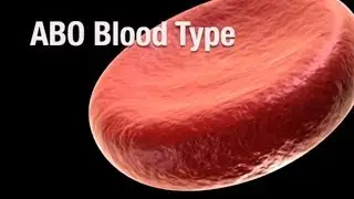 ABO Blood Type