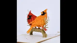 6 best 3d Cardinal bird pop up card templates