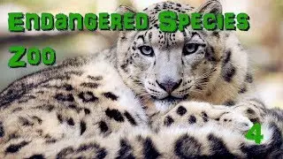 Endangered Species Zoo | Part 4: Snow Leopards - Zoo Tycoon 2