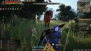 Black Desert Online: (PC) Guide. Lump of Raw Sugar & Horse Capture, OhMy!