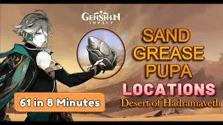 Sand Grease Pupa - Easy Guide | Alhaitham materials | Genshin Impact #genshinimpact  #alhaitham