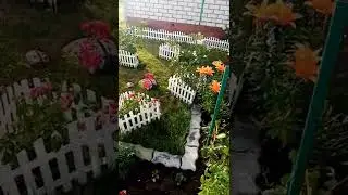 Цветущий двор по ул. Ползунова