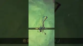 Karim tv