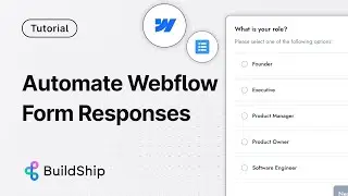 Automate Webflow Form Responses connect to any AI or database