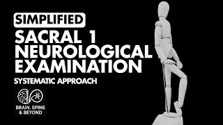 How to Examine S1 Nerve Root? Neurological Examination Simplified