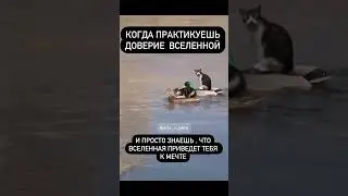 Когда практикуешь доверие Вселенной 🙏🏻🙏🏻🙏🏻