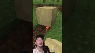 Создал АВТОМАТИЧЕСКУЮ дверь в МАЙНКРАФТ  #minecraft #майнкрафт