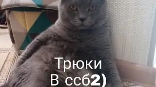 Трюки в ссб 2
