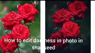 how to edit darkness in photo in snapseed editing application ||