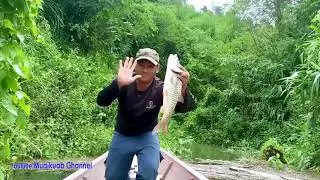 Rov coj nej nrog peb mus nuv ntses nawb lom zem kawg li