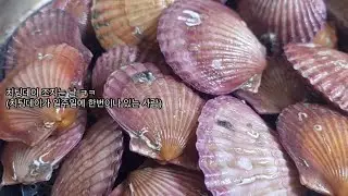 쉬지않고 10시간동안 먹은 것들 ㅋㅋ;;