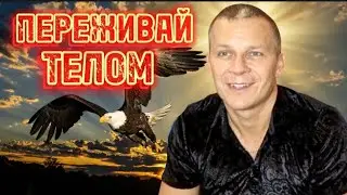 ВОЗМОЖНОСТИ ВОЗНЕСЁННОГО ТЕЛА. ПРОРОЧЕСКИЙ ЧАС. Андрей Яковишин