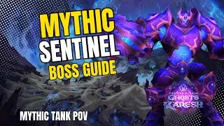 Mythic Plexus Sentinel Boss Guide | Tank POV