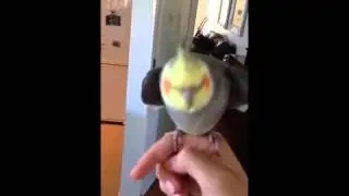 Танец  дабстеп