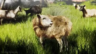 Sheep Herd v1.0 Preview Trailer