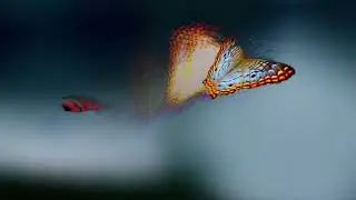 Sonia Stein - What's Yours (Isn't Mine) [Visualiser]