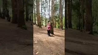 ooty Raja Hindustani and Raaz Movie Shooting Location#ooty #shootinglocation