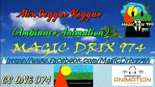 Mix 2021 Seggae Reggae ( Ambiance Animation ) @GS-ONE974 