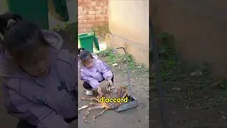 L'énorme araignée qui fait peur est en fait trop bonne à manger.