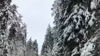 Валдай