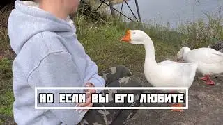 Почему не женится?