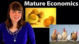 Mature Economics: Do economists really think everyone is selfish and “fully rational”?