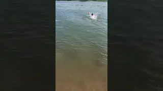 Трёх очковые в воде😂