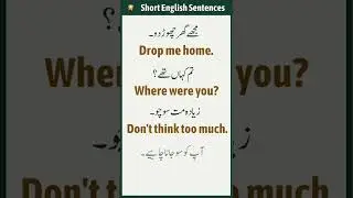 Short English Sentences | Daily Use Sentences with Urdu Translation | English Studies.