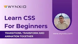 CSS Transitions ,Transform and Animation together