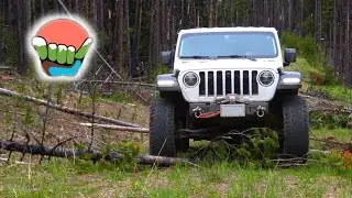 Exploration Through Dead Fall / JEEP GLADIATOR