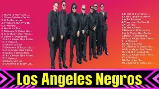 Lo mejor del álbum completo de Los Angeles Negros 2024 ~ Mejores artistas para escuchar 2024