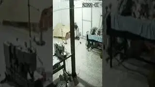 penampakan